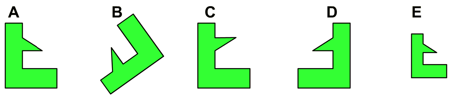 Relected Shape CongruentShapes1a